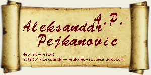 Aleksandar Pejkanović vizit kartica